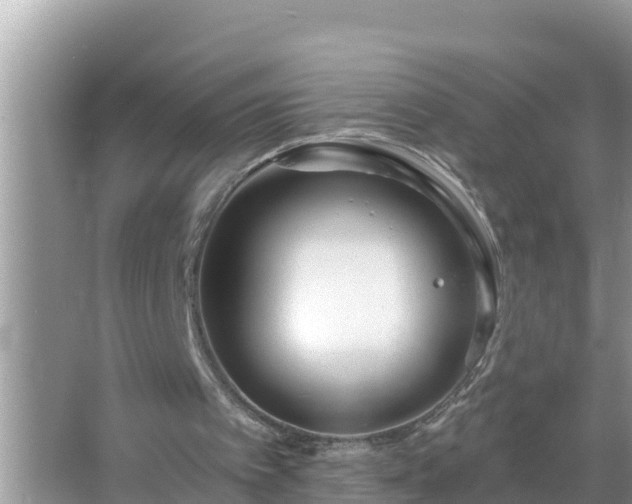 X0000067530097200604150236