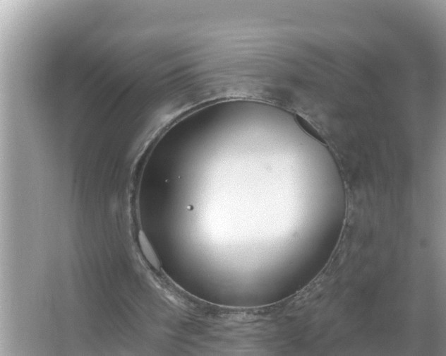 X0000067530098200604150236