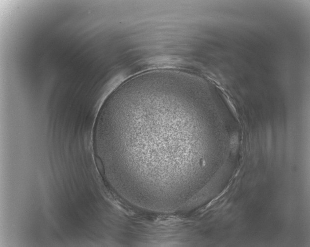 X0000067530099200604150236