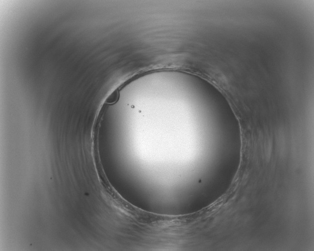 X0000067530100200604150236