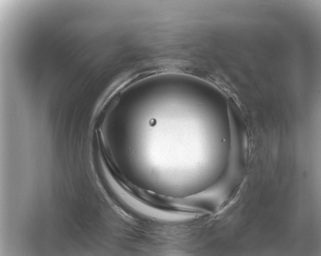 X0000067530101200604150236