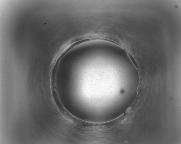 X0000067530103200604150236