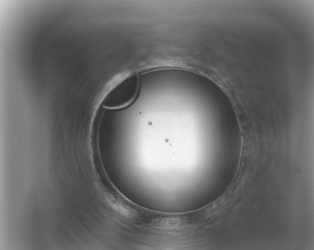 X0000067530104200604150236