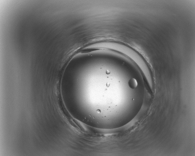 X0000067530105200604150236