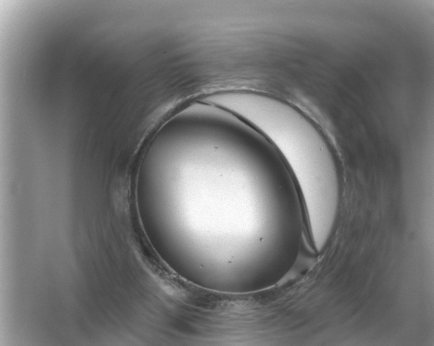 X0000067530107200604150236