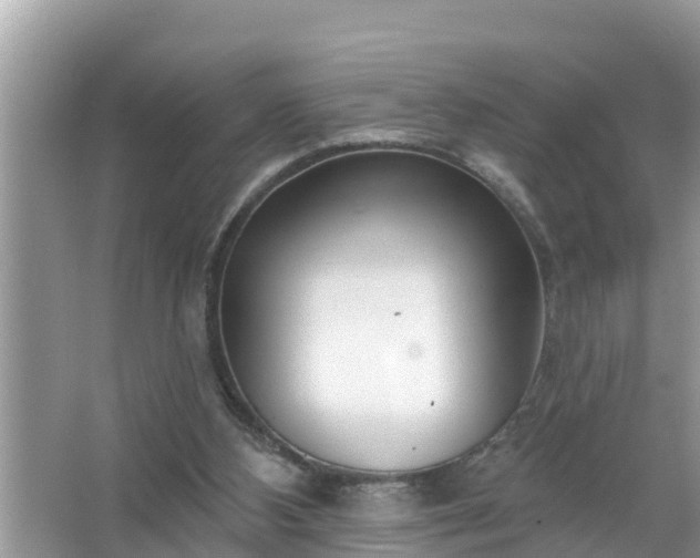 X0000067530108200604150236