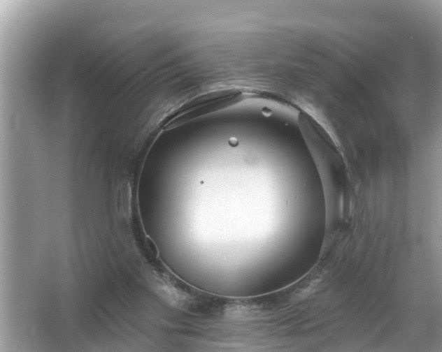 X0000067530109200604150236