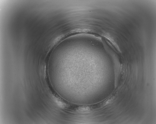 X0000067530110200604150236