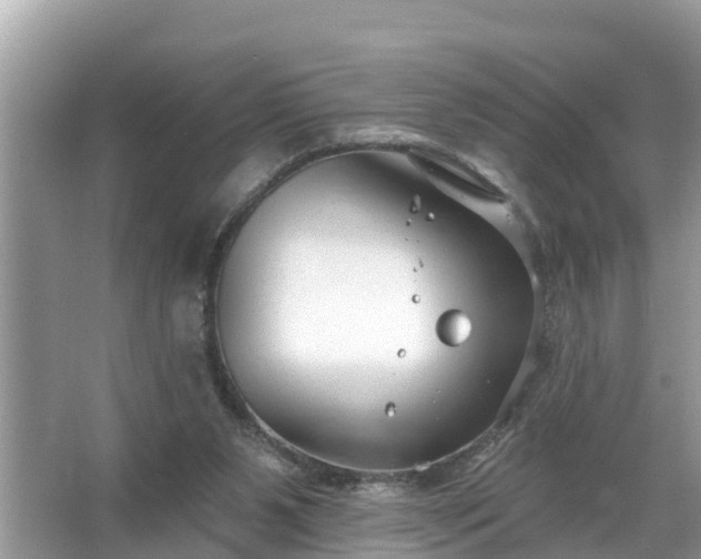 X0000067530111200604150236