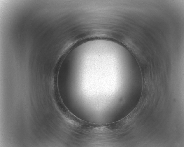 X0000067530112200604150236