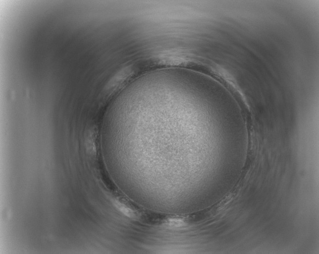 X0000067530114200604150235