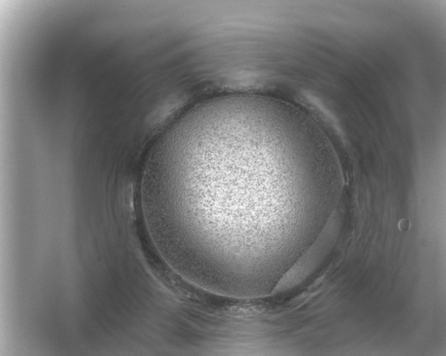 X0000067530115200604150235