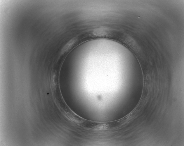 X0000067530116200604150235