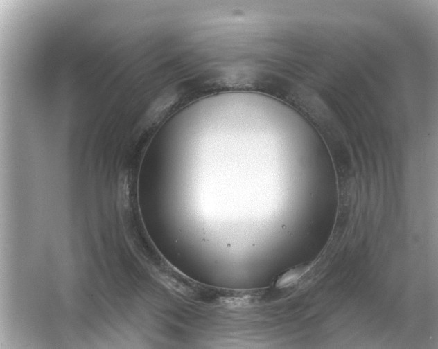 X0000067530120200604150235