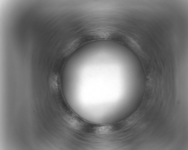 X0000067530122200604150235