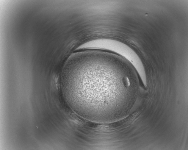 X0000067530123200604150235