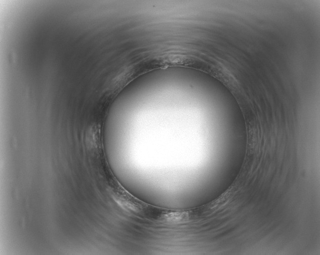 X0000067530126200604150235