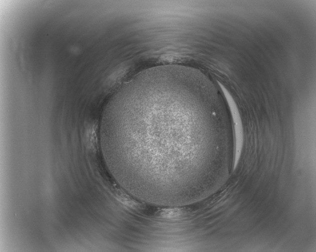 X0000067530127200604150235