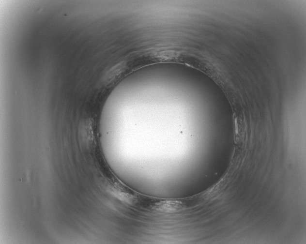 X0000067530128200604150235