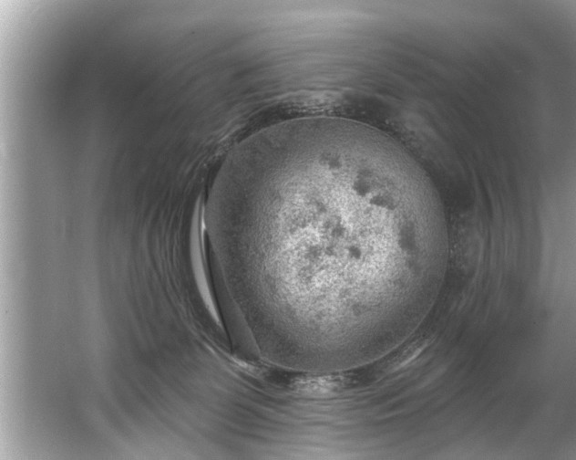 X0000067530131200604150235