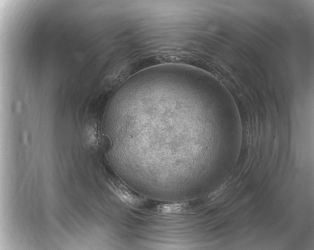 X0000067530134200604150235