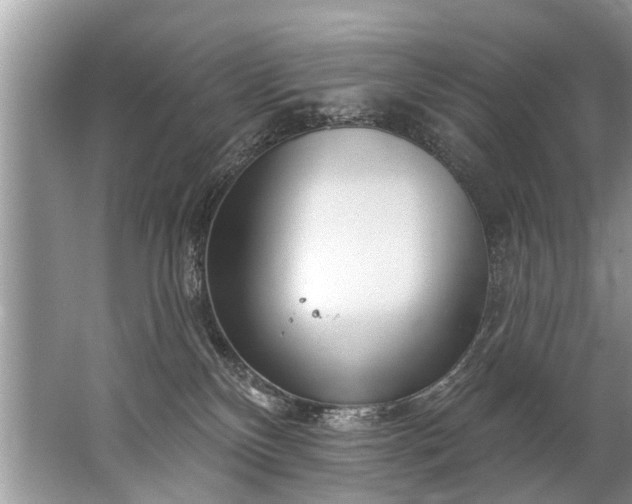 X0000067530136200604150235