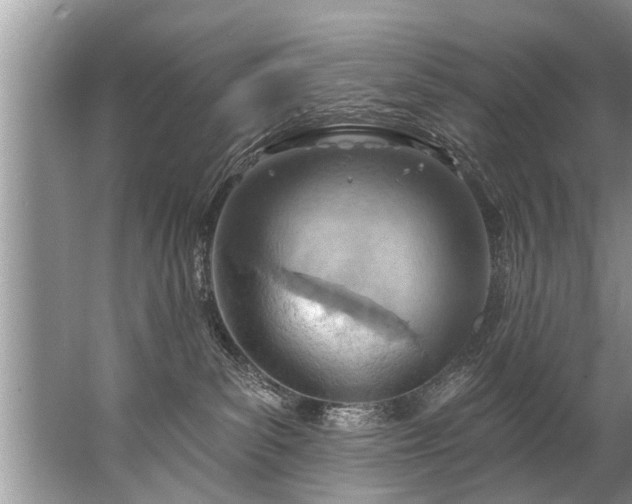 X0000067530139200604150235