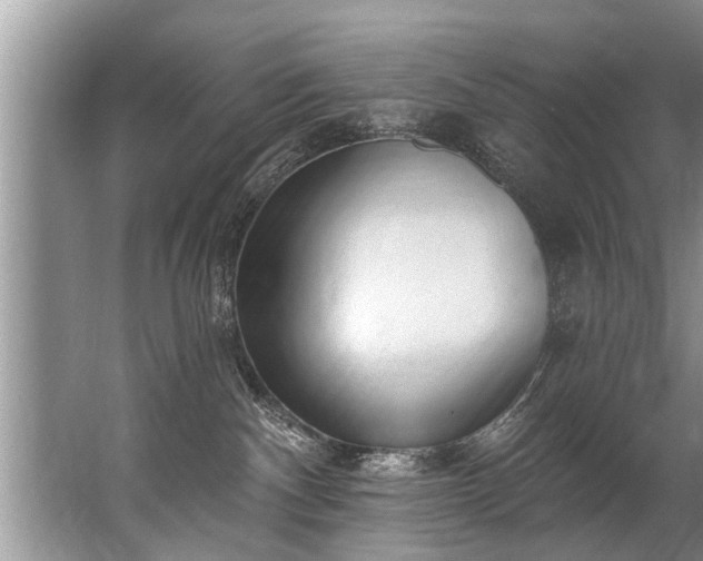 X0000067530140200604150235