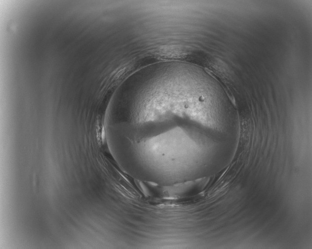 X0000067530143200604150235