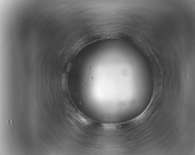 X0000067530144200604150235