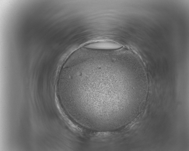 X0000067530145200604150234