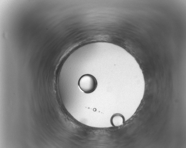 X0000067530146200604150234