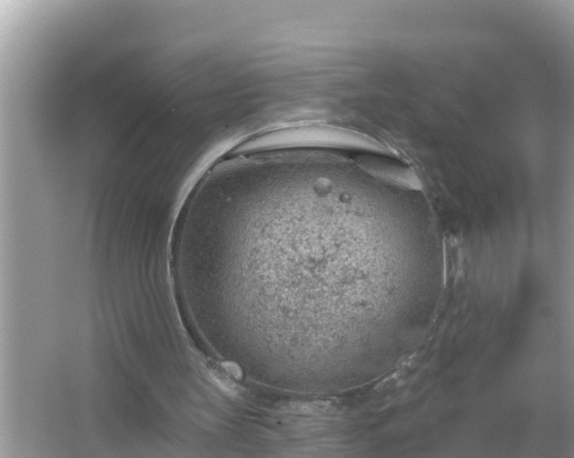 X0000067530147200604150234