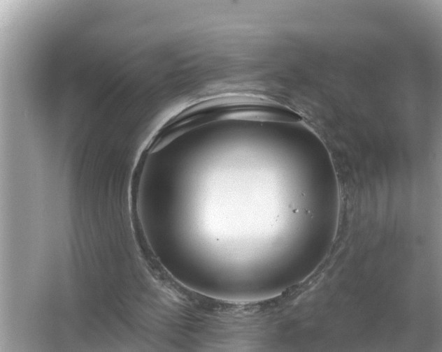 X0000067530148200604150234