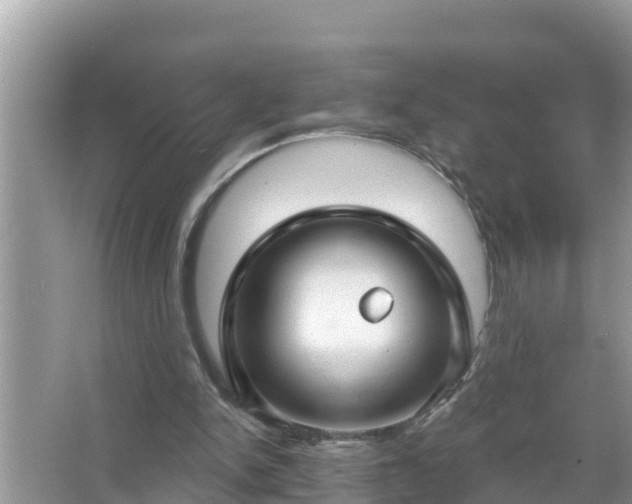 X0000067530150200604150234