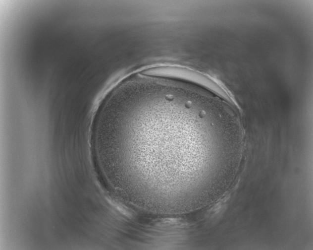 X0000067530151200604150234