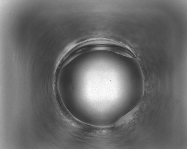 X0000067530152200604150234