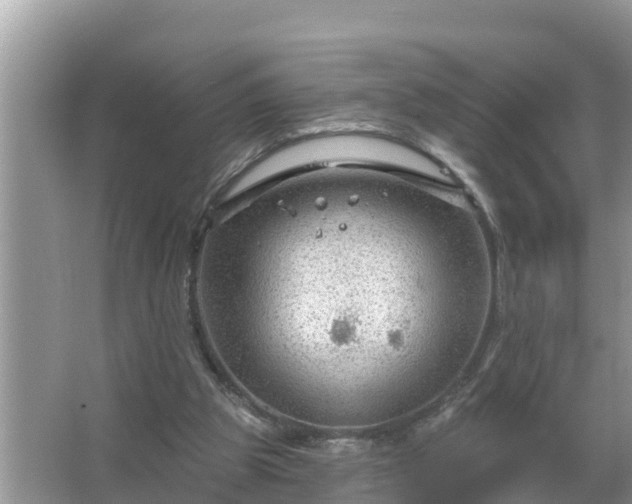 X0000067530153200604150234