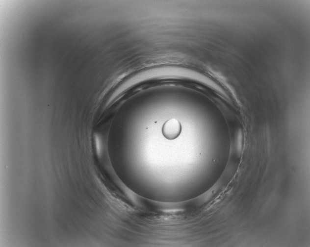 X0000067530154200604150234