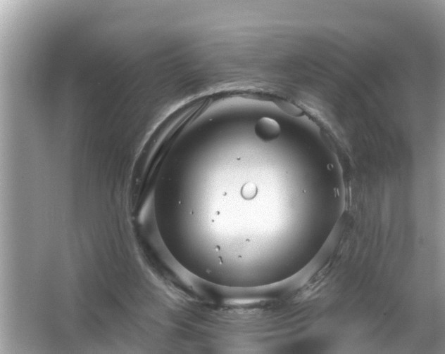 X0000067530156200604150234