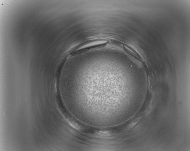 X0000067530157200604150234