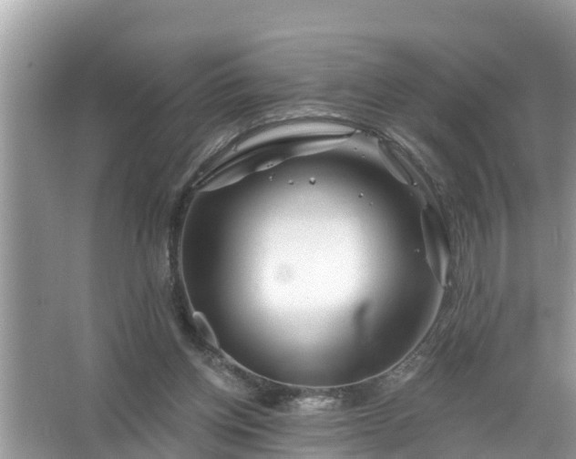 X0000067530158200604150234