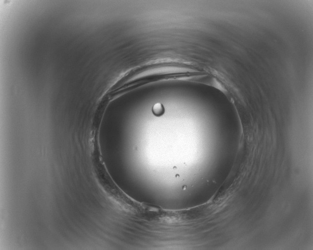 X0000067530160200604150234