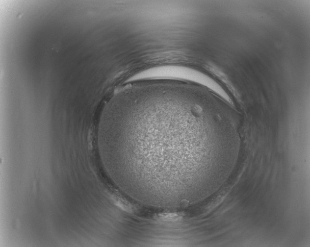 X0000067530161200604150234