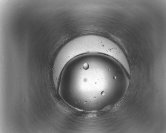 X0000067530162200604150234