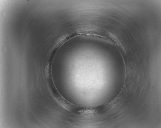 X0000067530163200604150234