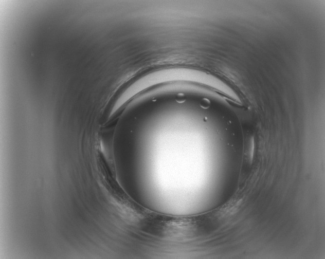 X0000067530164200604150235