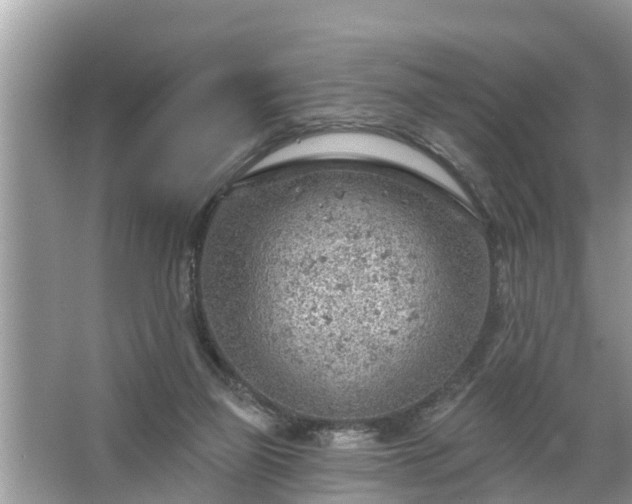 X0000067530165200604150235