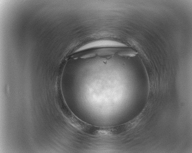 X0000067530167200604150235