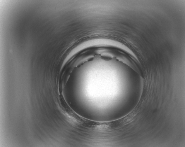 X0000067530168200604150235